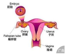 输卵管不通的治疗费用是多少