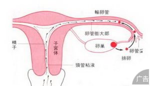 输卵管肿瘤应该怎样治疗