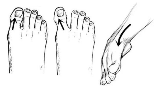 1597566120287950.jpg 1-1G10Q10P2b2.jpg