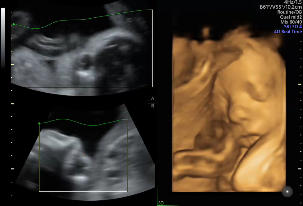 1603955815127899.png 1603955815127899.png