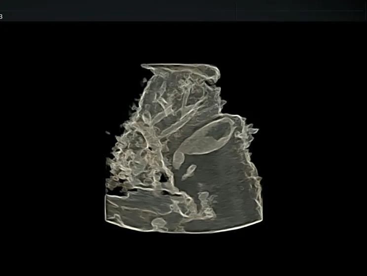 1603955885527923.jpg 1603955885527923.jpg