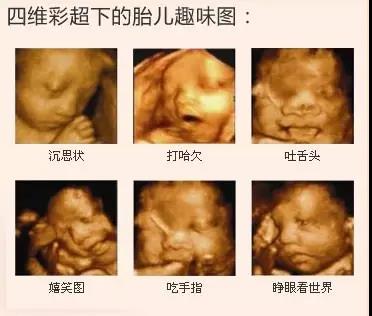 1603956010203338.jpg 微信图片_20201029145142.jpg