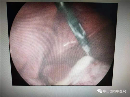 1632276739162718.jpg 微信图片_20210922100804.jpg