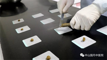 1733822301204977.jpg 微信图片_20241210171529.jpg