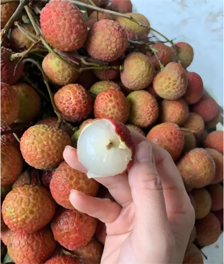 1749265957915564.png 微信图片_20250607105309.png