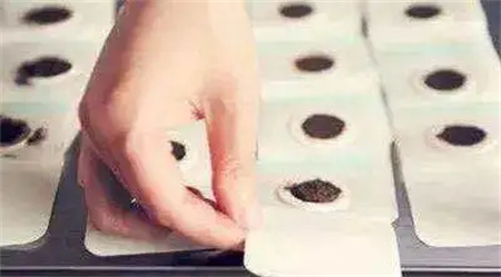 1751612895640400.jpg 微信图片_20250704145736.jpg